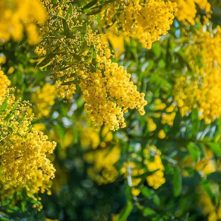 アパート A St-raphael Avec Terrasse Et Parking, A 100m De La - Fr-1-226a-23 Saint-Raphaël