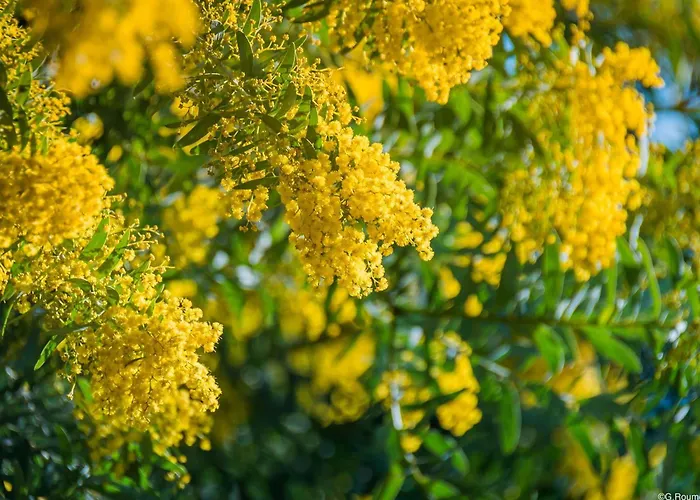 アパート A St-raphael Avec Terrasse Et Parking, A 100m De La - Fr-1-226a-23 Saint-Raphaël