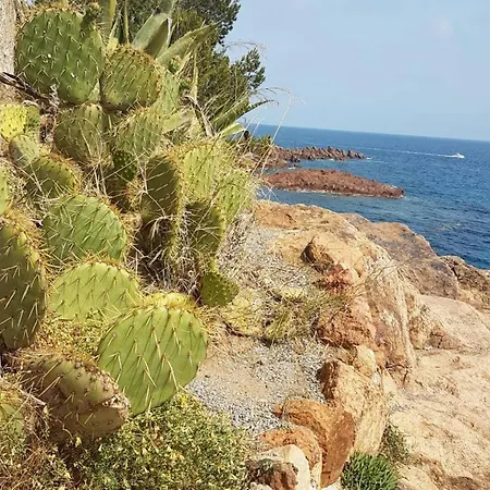 A St-raphael Avec Terrasse Et Parking, A 100m De La - Fr-1-226a-23 * Saint-Raphaël