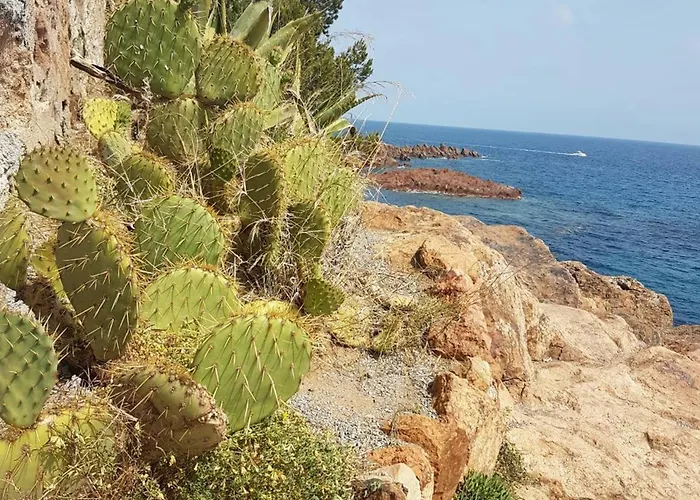 A St-raphael Avec Terrasse Et Parking, A 100m De La - Fr-1-226a-23 * Saint-Raphaël